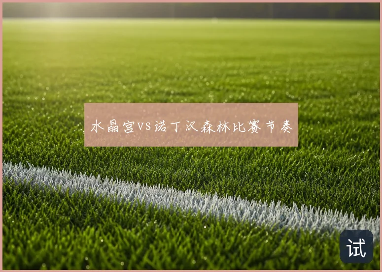 水晶宫vs诺丁汉森林比赛节奏